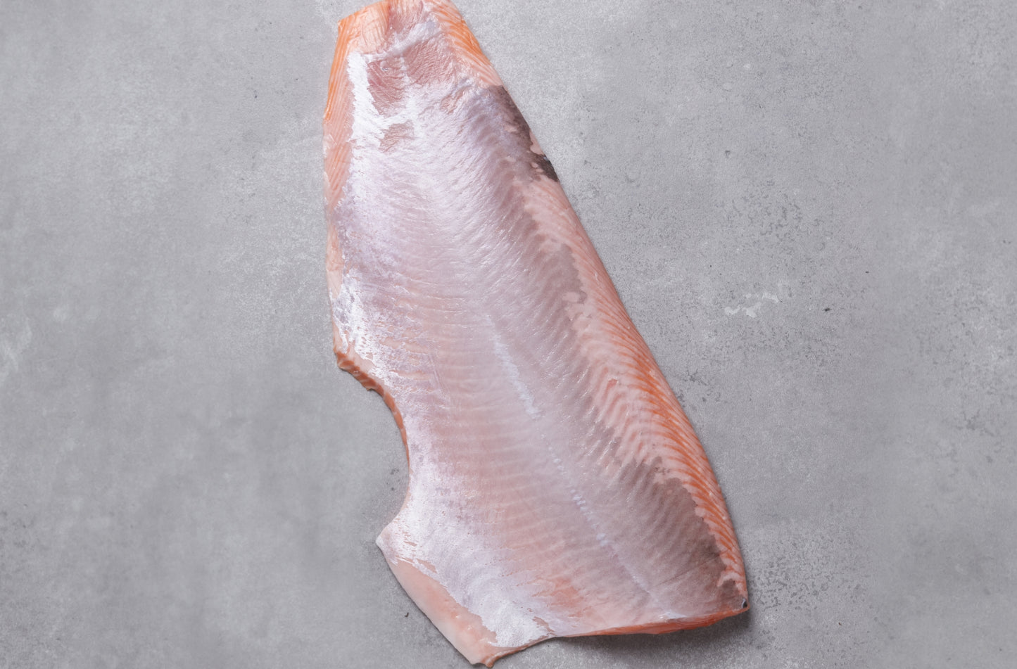 Fresh salmon fillet skin off, skinned side of fillet displayed