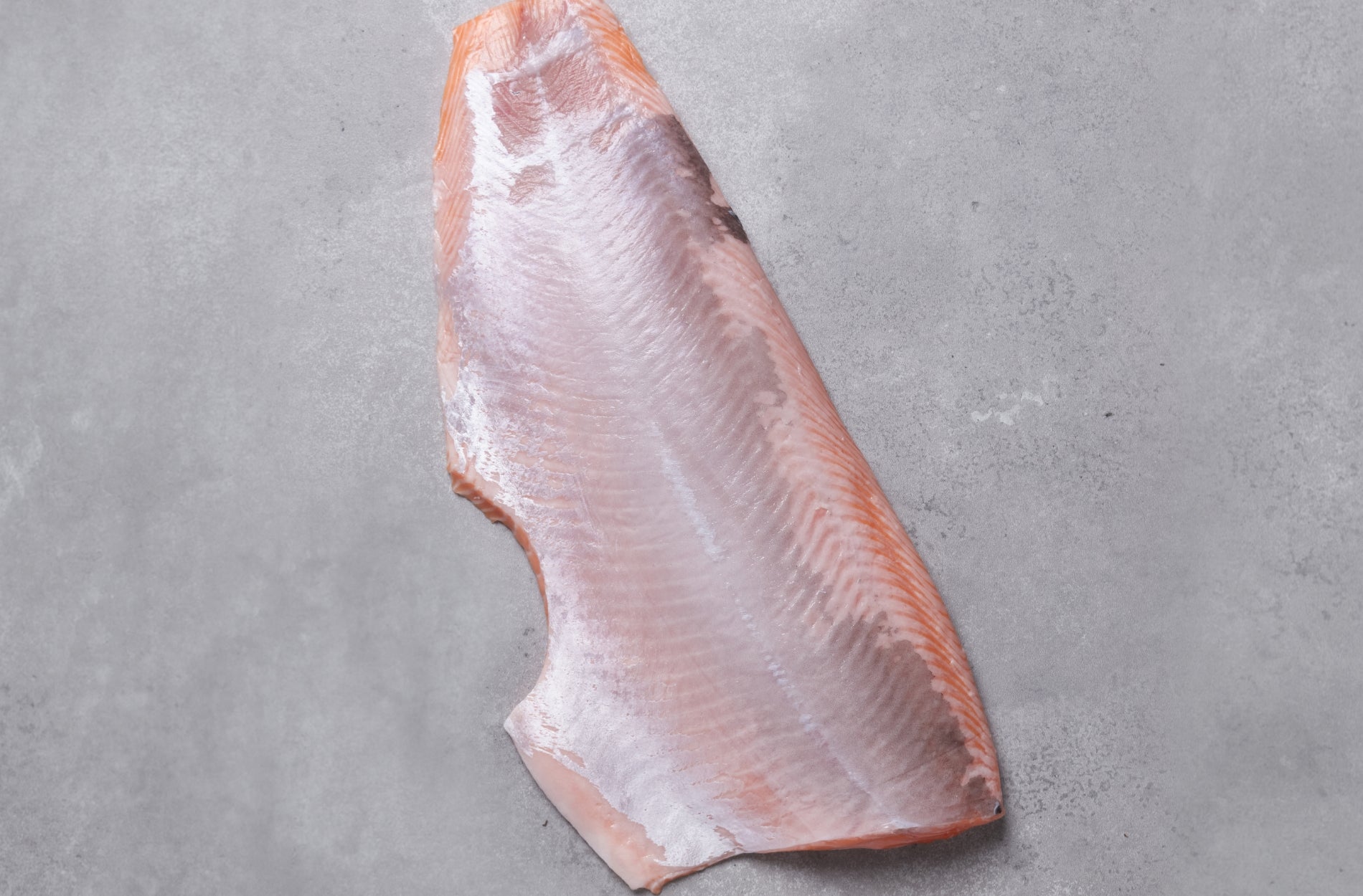 Fresh salmon fillet skin off, skinned side of fillet displayed
