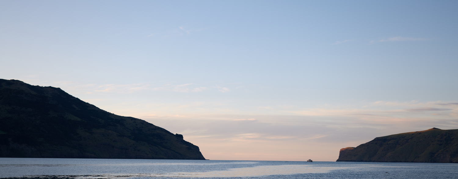 Akaroa Salmon farm at dawn in Akaroa harbour